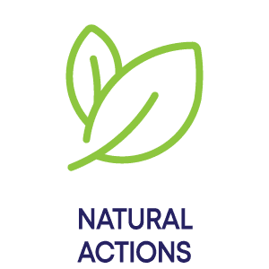 Bebble Wet Wipes (Lavender) - certificate 3